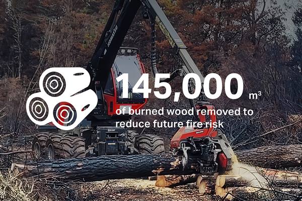 burned wood removed